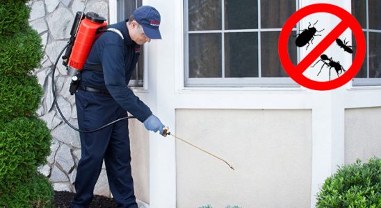 Ağrı Karınca İlaçlama böcek ilaçlama ve haşere kontrolü — ilaclama-tr.com